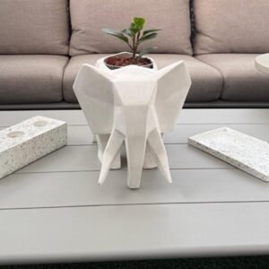 Maceta Pet Friendly Dumbo + planta | 27cm