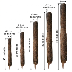Vara tutor premium para plantas de fibra de coco y musgo | 40cms a 150cms