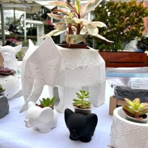 Alternative view of Maceta Pet Dumbito +Suculenta | 8 cm