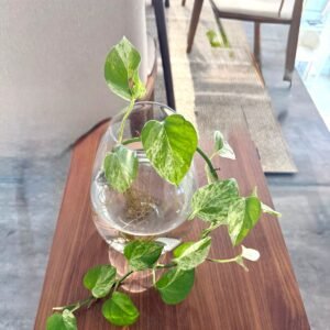 Alternative view of Recipiente de cristal Cami | 25,5cm