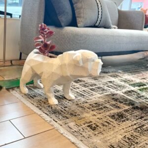 Alternative view of MACETA PET CHANCHI | 32 cm