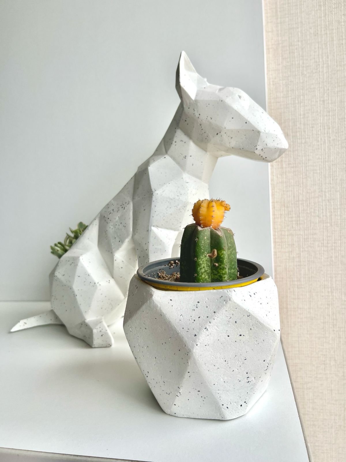 Bull Terrier| 36 cm - Imagen 2