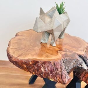 MACETA RINO | 21CM