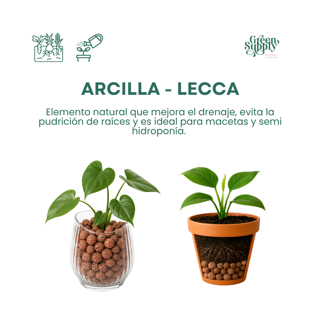 Arcilla - Lecca | 3lt - Imagen 2