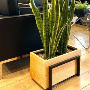 Portamaceta Rectangular +Lengua de suegra | 26cm