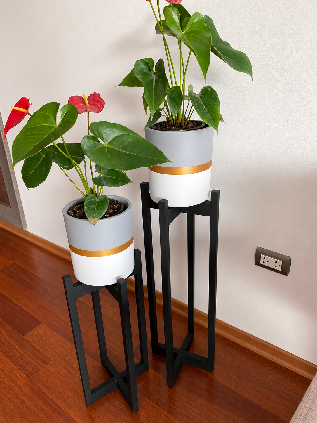 JUEGO ELISEOS (Planta anturio + maceta de arcilla + parante) | 110 cm