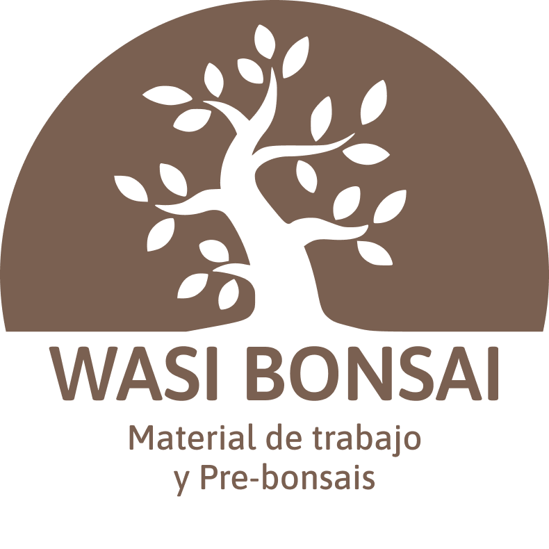 Wasi Bonsai