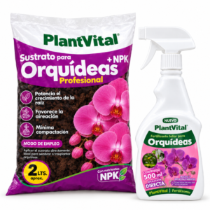 Alternative view of PACK ORQUÍDEA COMPLETA