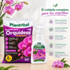 PACK ORQUÍDEA COMPLETA