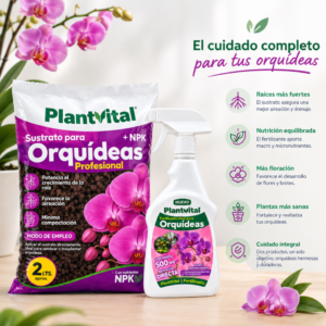 PACK ORQUÍDEA COMPLETA