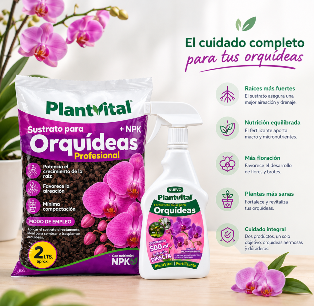 PACK ORQUÍDEA COMPLETA