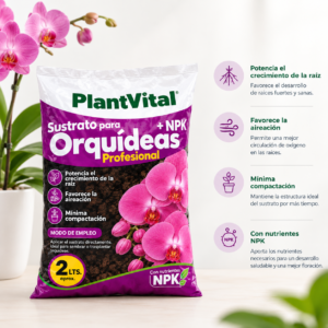 PACK ORQUÍDEA COMPLETA - Imagen 3
