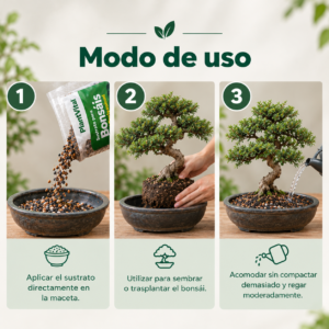 SUSTRATO PARA BONSAI | 1K - Imagen 4