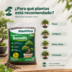 SUSTRATO PARA BONSAI | 1K - Imagen 3